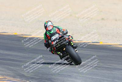 media/Mar-10-2024-SoCal Trackdays (Sun) [[6228d7c590]]/9-Turn 8 Backside (1150am)/